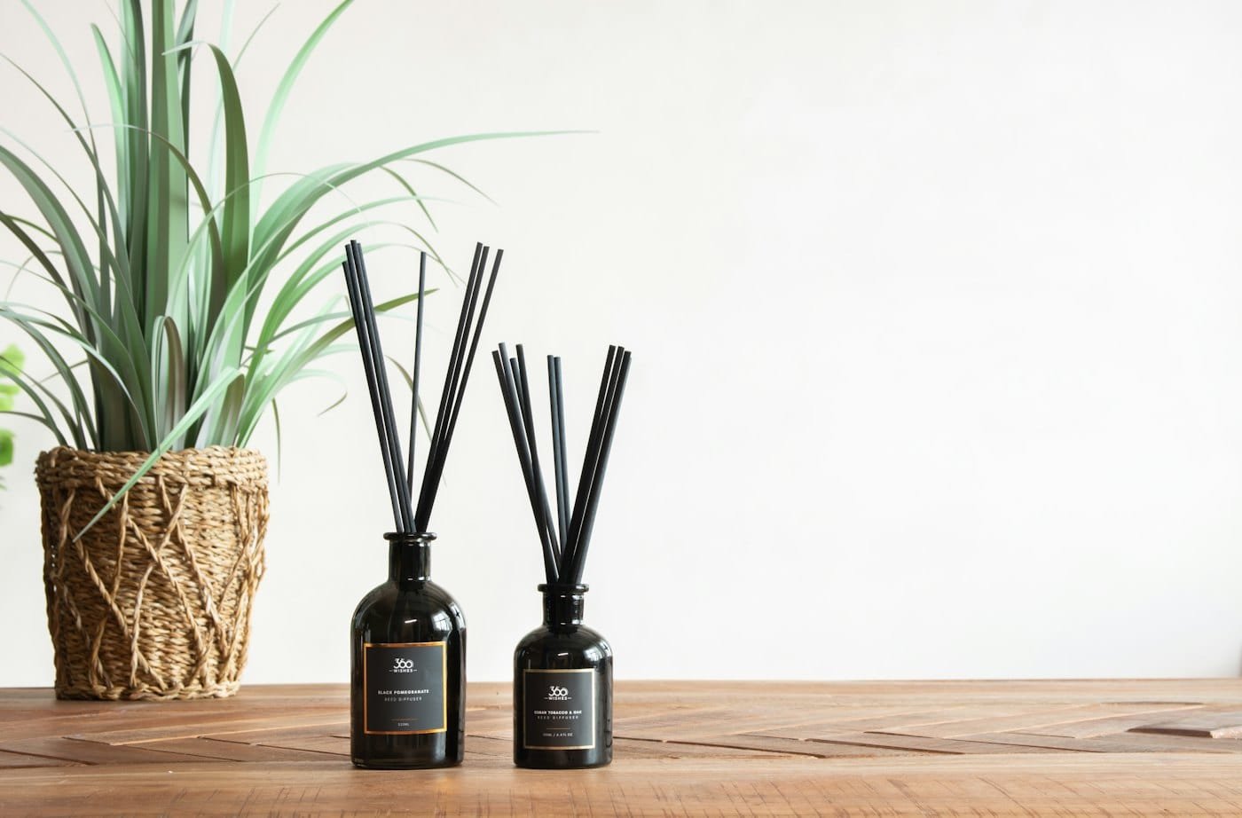 A calm corner inside Oasis with a plant and two reed diffusers