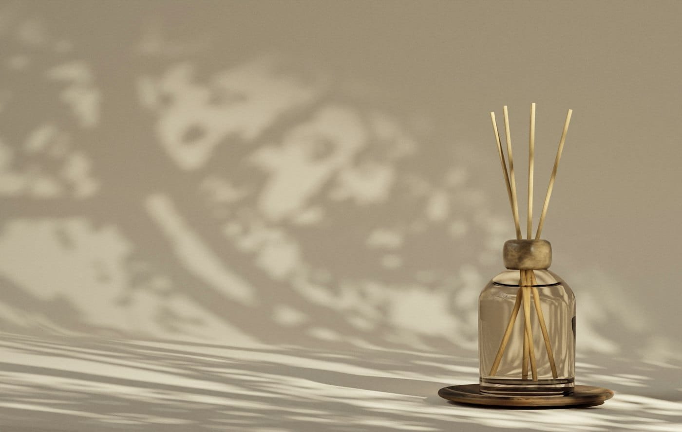 A reed diffuser in afternoon light