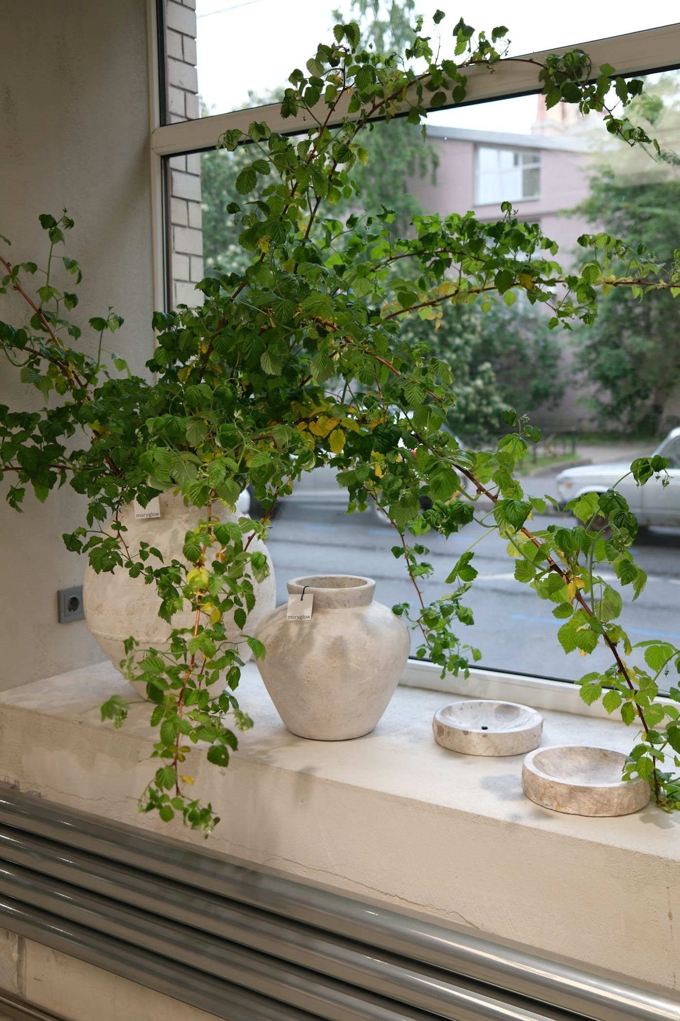 Plants and ceramics on a sunny windowsill